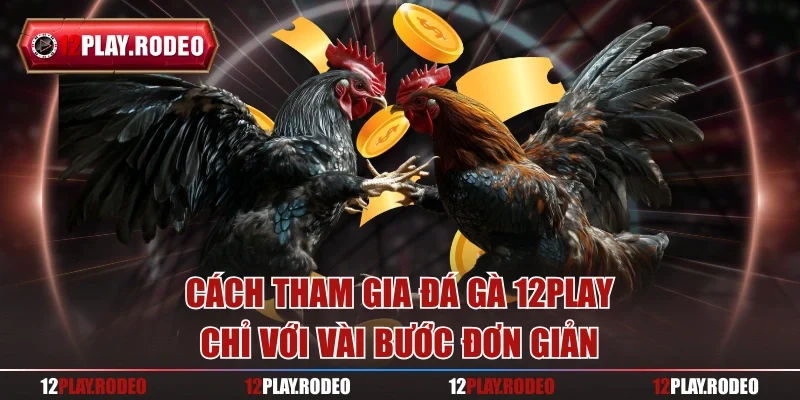 Cách tham gia đá gà 12Play chỉ với vài bước đơn giản