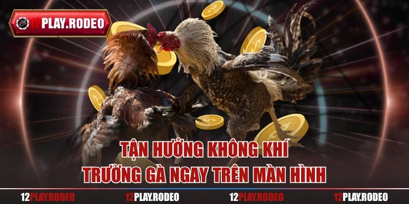 Tận hưởng không khí chọi kê ngay trên màn hình